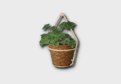 hanging ivy icon 1