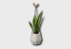 hanging snake plant icon 1