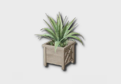 medium agave icon 1