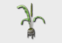 medium bird of paradise icon 1
