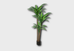medium happy plant icon 1