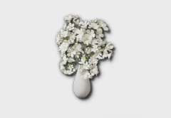 medium hydrangea icon 1