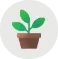 plants icon 1