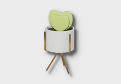 small heart hoya icon 1