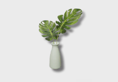 small monstera icon 1