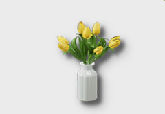 small tulip icon 1