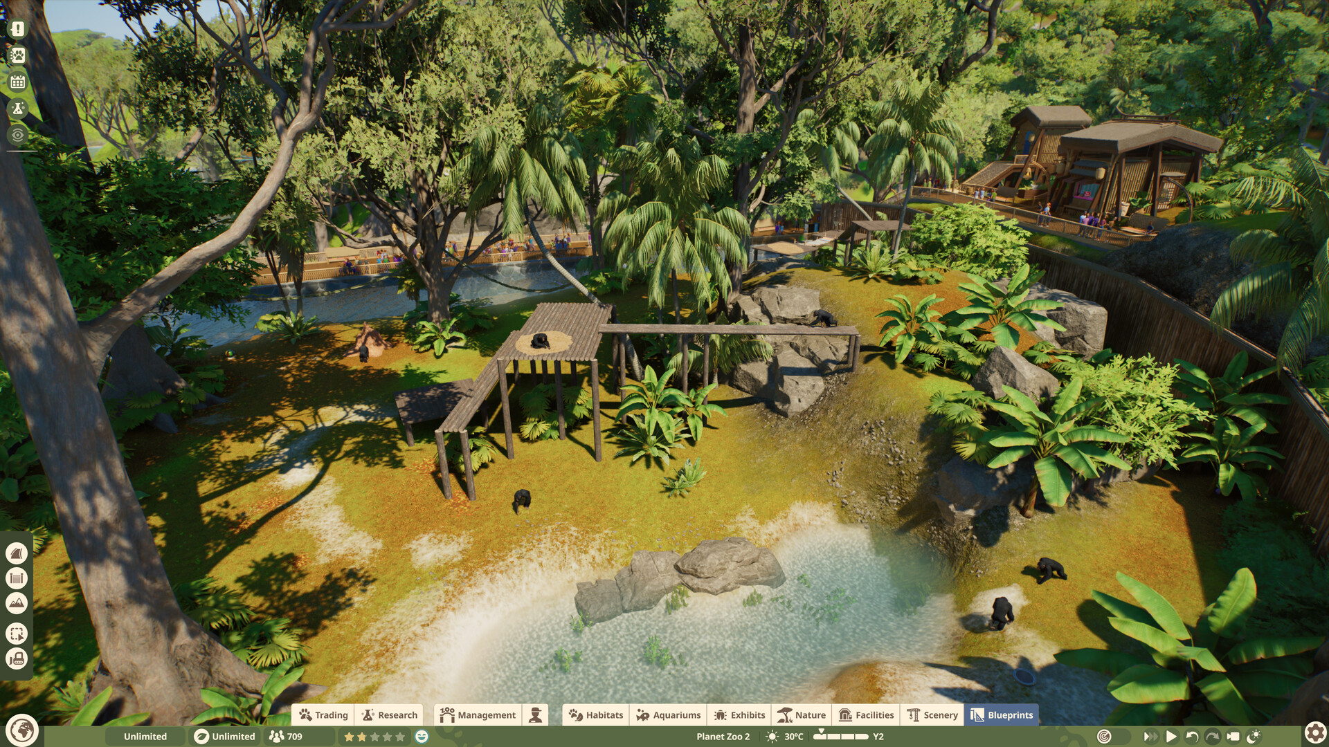Chimpanzees resting on wooden climbing frames in a forested habitat with a sandy beach and guest viewing platform