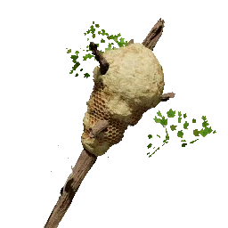 Beehive Club weapon icon