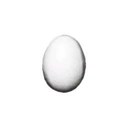 Egg item icon