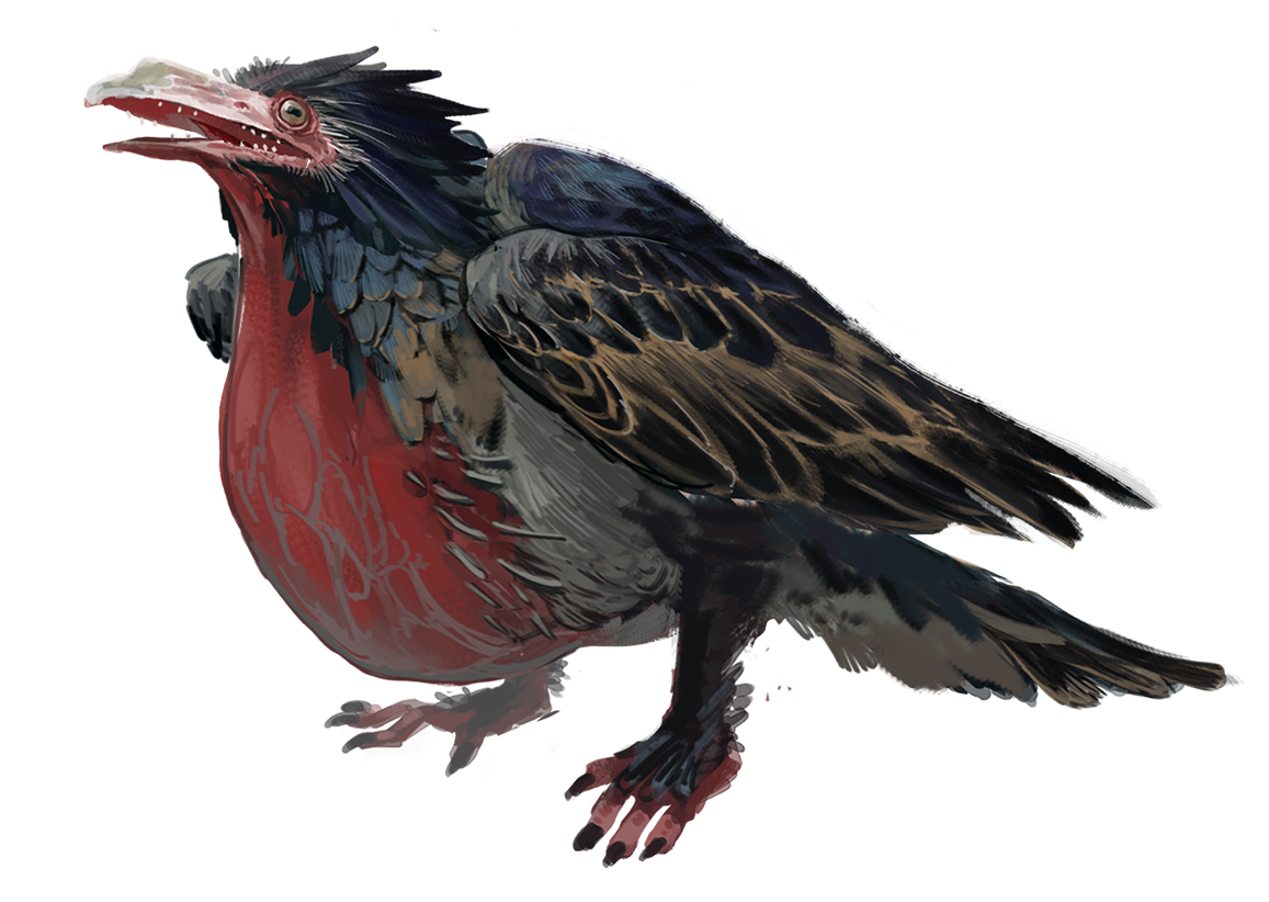 The Snatcher, a crow-like bird with dark barred plumage and a huge red gular pouch hanging beneath a toothed beak