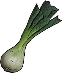 Leek