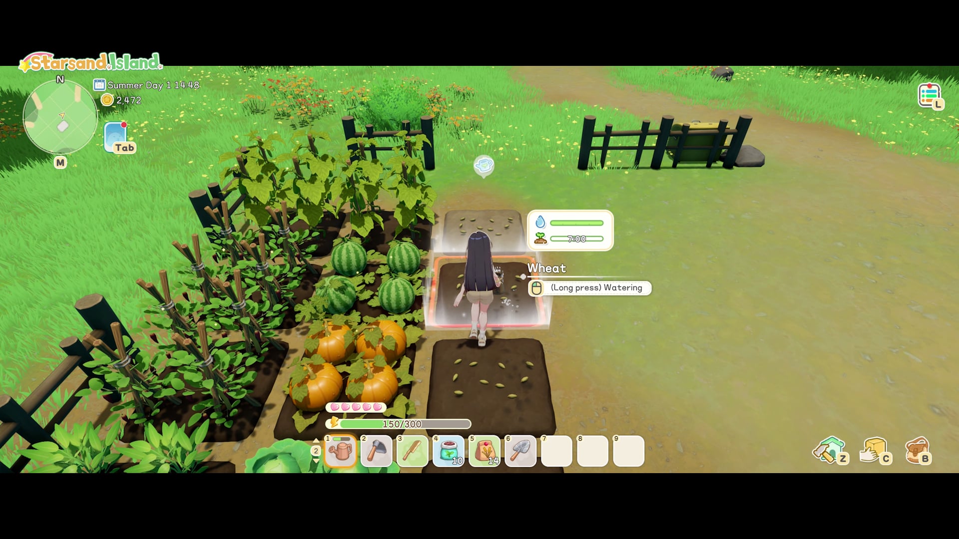 Watering wheat and crops on the farm with watermelons and pumpkins growing nearby