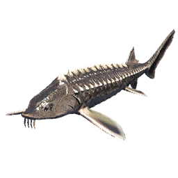Sturgeon fish icon from Crimson Desert