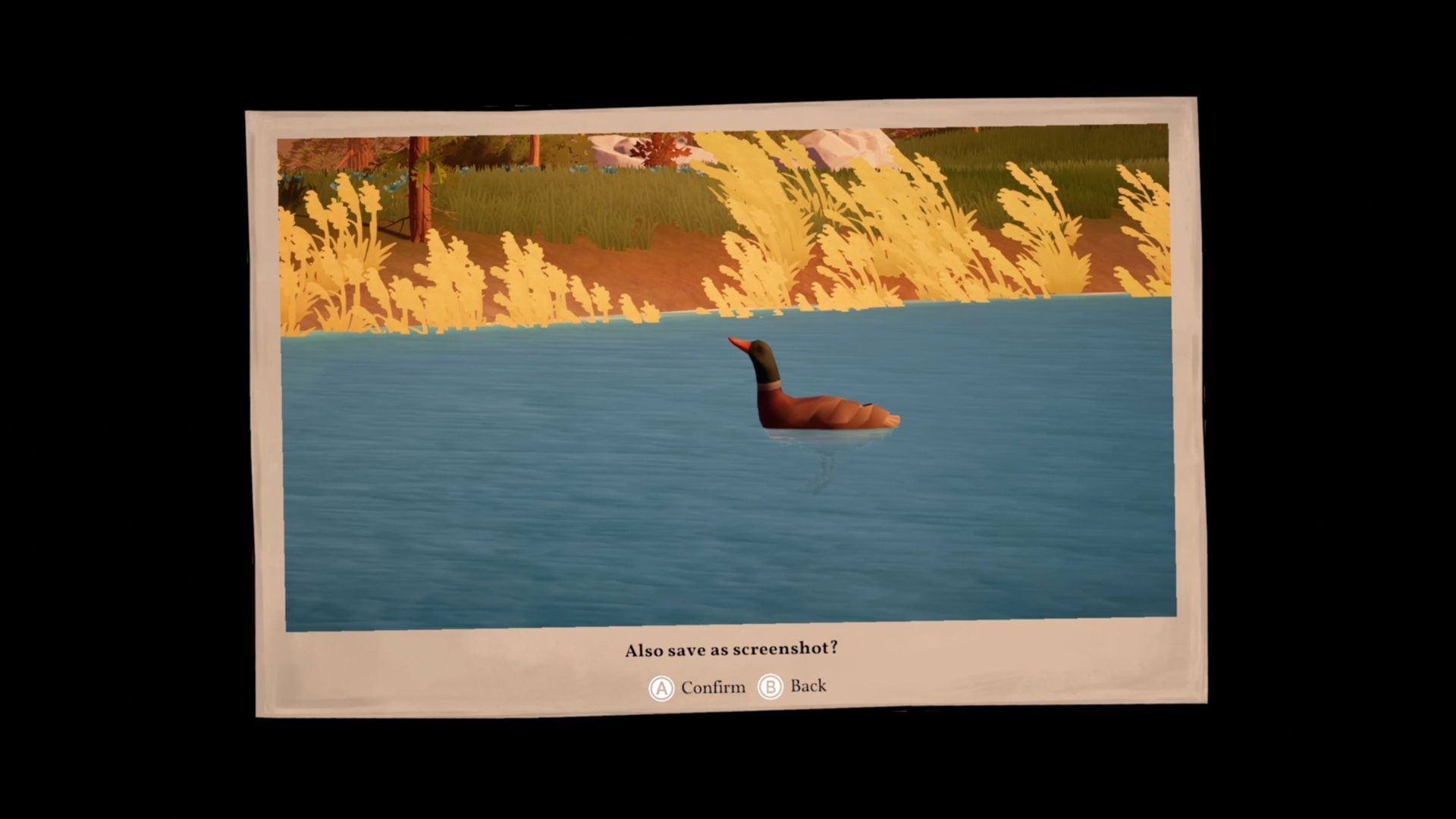 A finished photo of a duck on a lake with the prompt asking whether to also save it as a screenshot