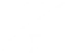 Rogue Buccaneers