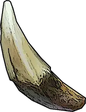 Wolf Fang