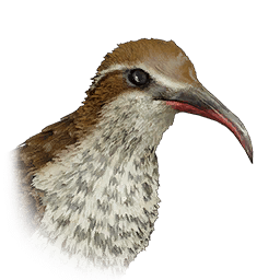 Mesite lifeform icon from Crimson Desert