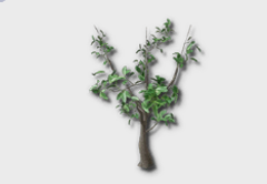 Orange Tree Sapling outdoor furniture item in inZOI