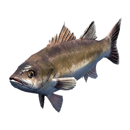 Saw-Edged Perch fish icon from Crimson Desert
