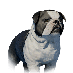 Floppy-Eared Bulldog lifeform icon from Crimson Desert