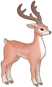 Spotted Deer