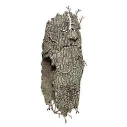 Lifsoth Large Shield
