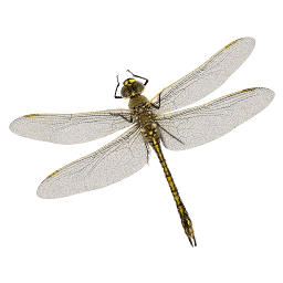 Dragonfly insect icon from Crimson Desert
