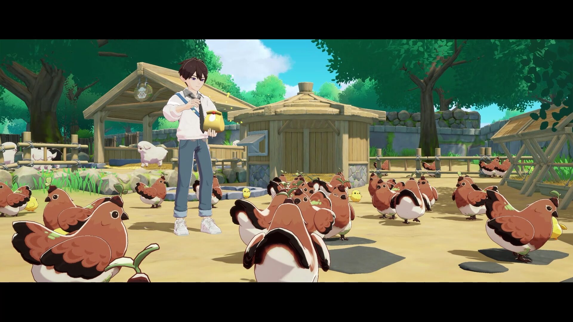 Feeding chickens at the ranch in Starsand Island