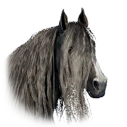 Hernandian Soldier's Horse