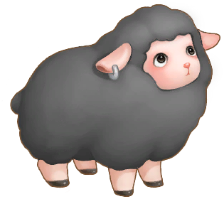 Duswool