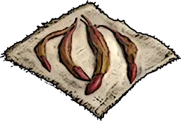 Bromeliad Seeds