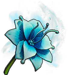 Misty Orchid