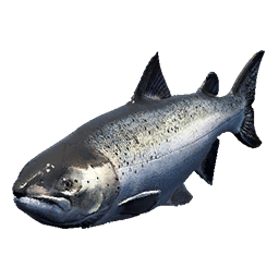 Salmon fish icon from Crimson Desert