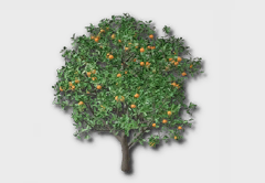 Orange Tree outdoor furniture item in inZOI