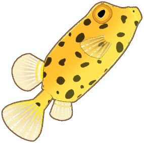 Boxfish