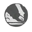 Instant acceleration icon