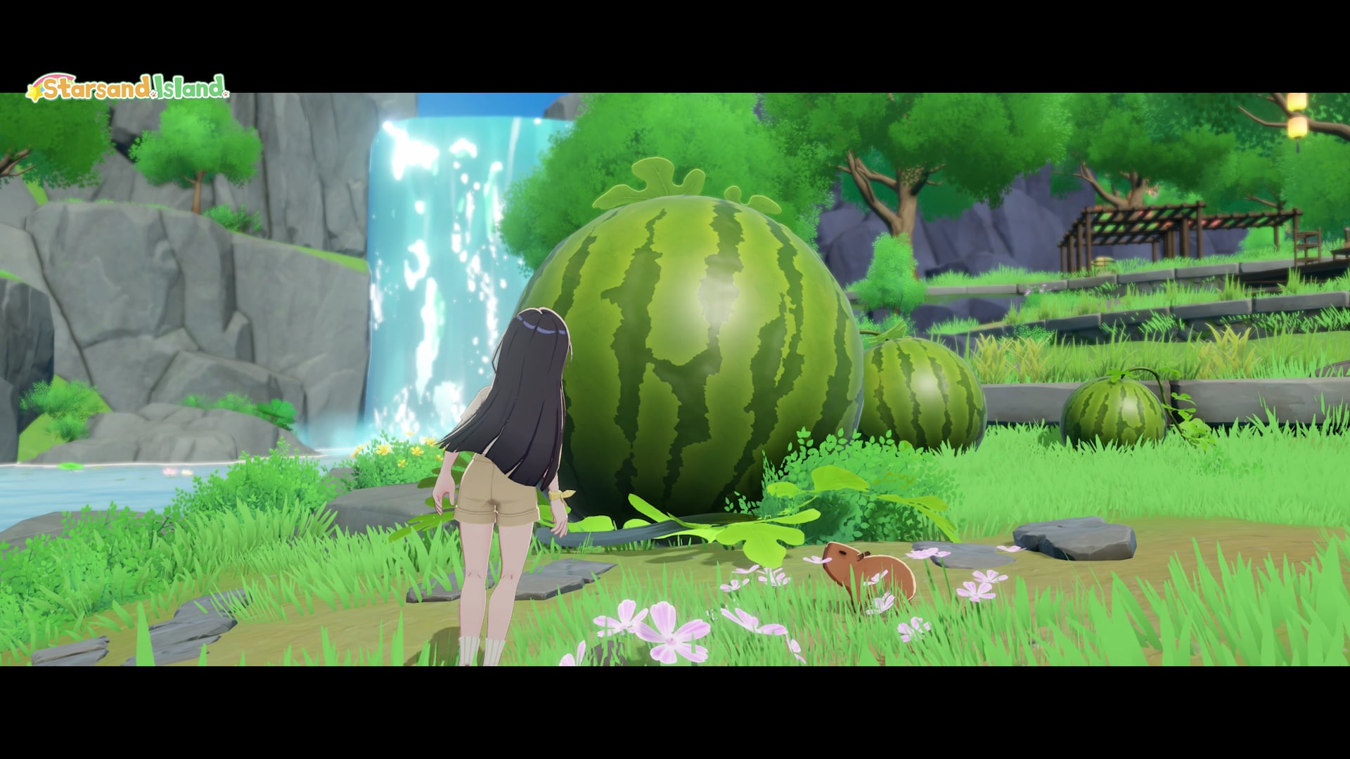 A giant Gmax watermelon crop growing near a waterfall on the homestead