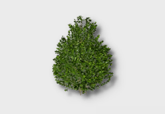 Medium Boxwood outdoor furniture item in inZOI