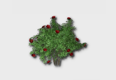 Rose Shrub outdoor furniture item in inZOI