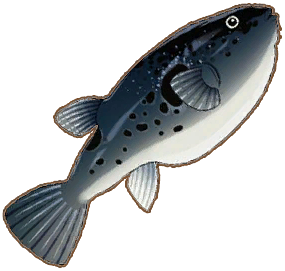 Tiger Puffer