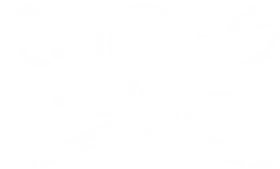 Brethren of the Coast Buyer