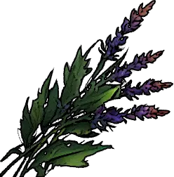 Healing Herbs