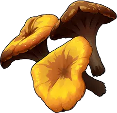 Lobster Mushroom