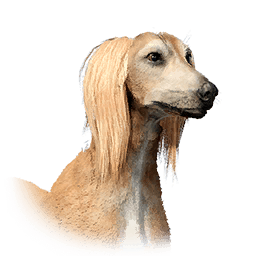Saluki lifeform icon from Crimson Desert