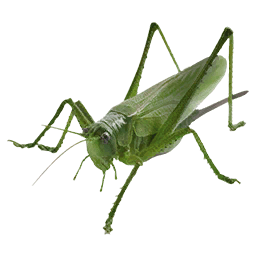 Grasshopper insect icon from Crimson Desert