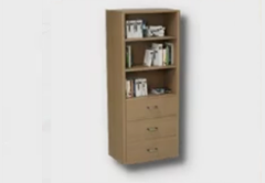 Natural Bookshelf furniture item in inZOI
