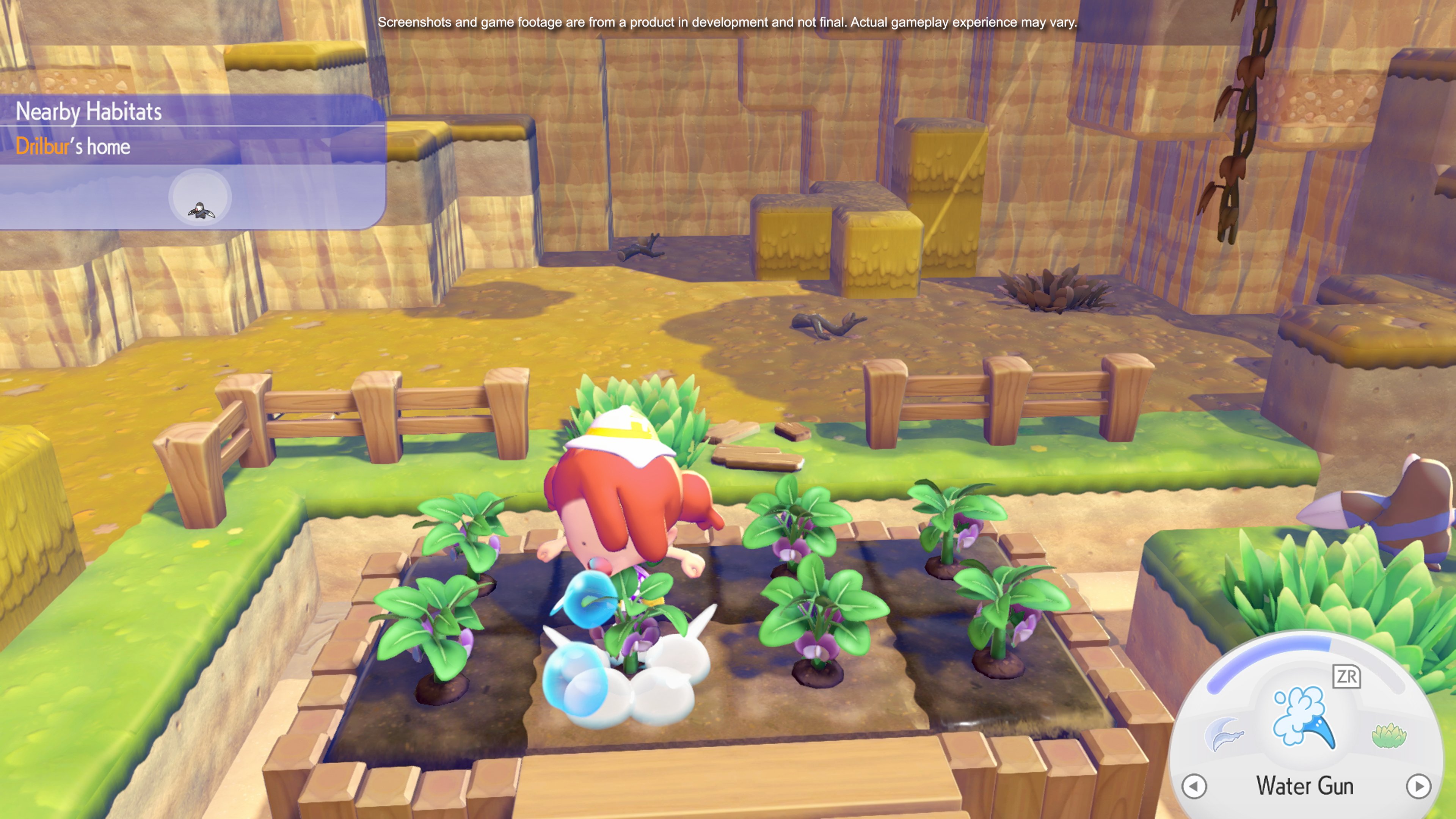Ditto using Water Gun to water a vegetable garden with growing crops in raised wooden planters near a habitat
