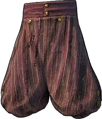 Survivor's Pants