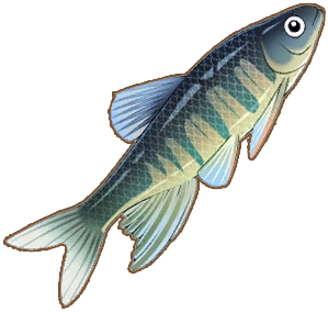 Pale Chub