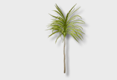 Willow Tree outdoor furniture item in inZOI
